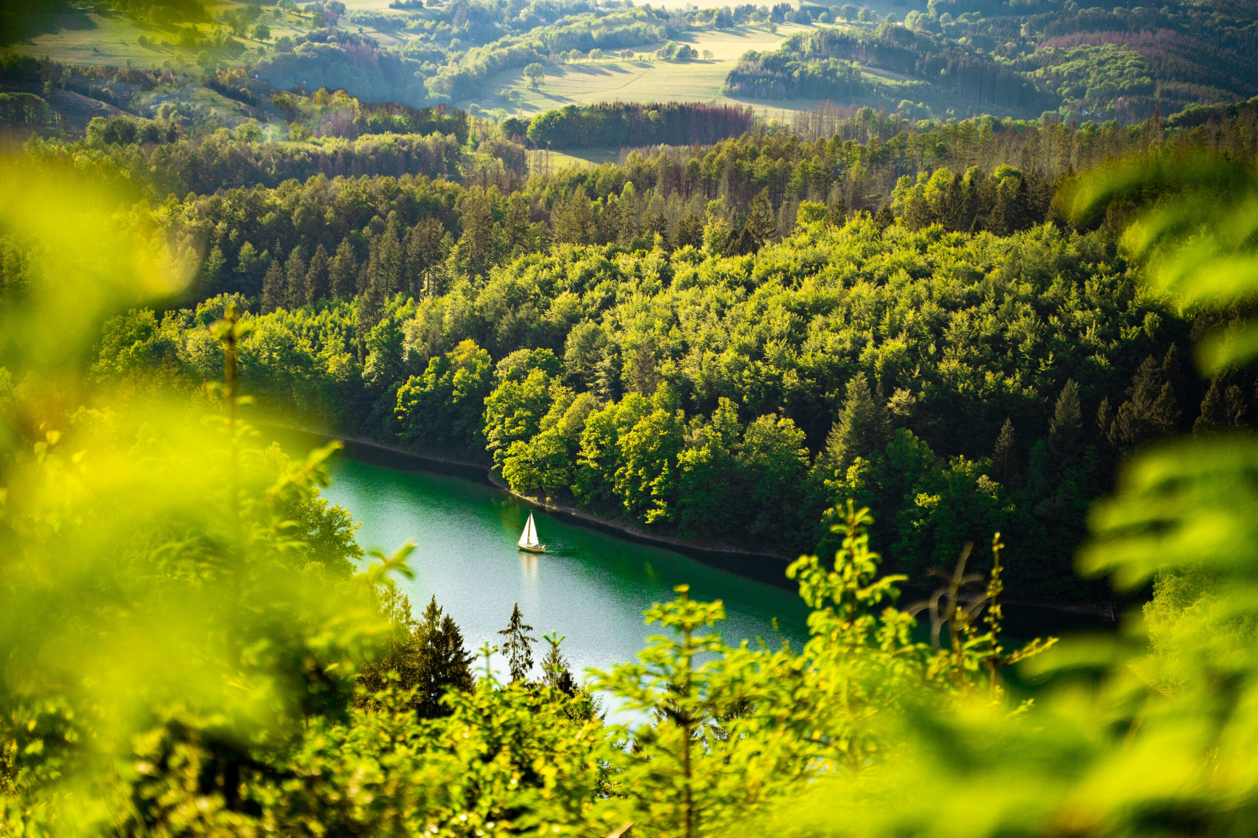 Boat on a lake in a natural environment in Gummersbach, Germany